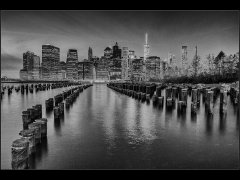 Gordon Mills-Manhattan from Brooklyn Heights-Highly Commended.jpg